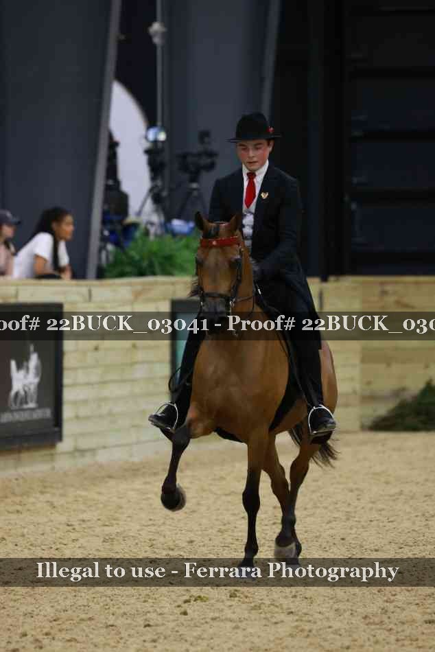 Proof 22BUCK_03041