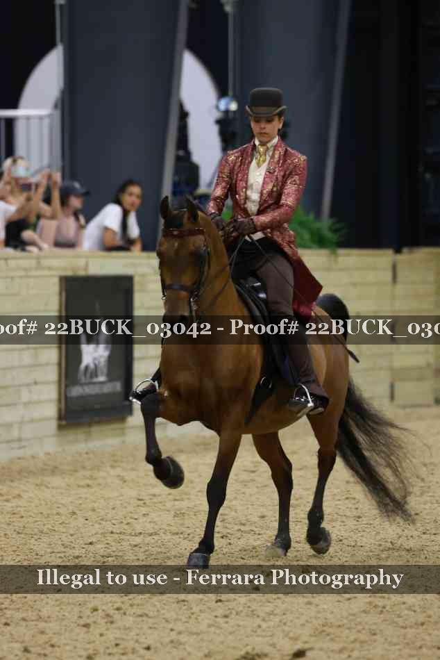Proof 22BUCK_03042