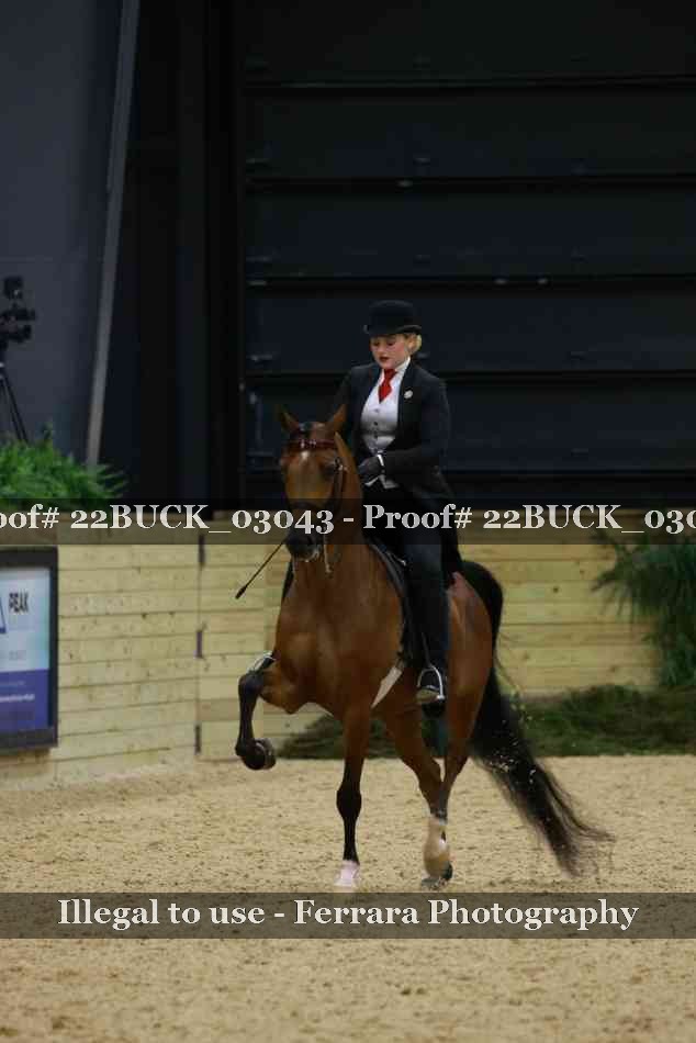 Proof 22BUCK_03043