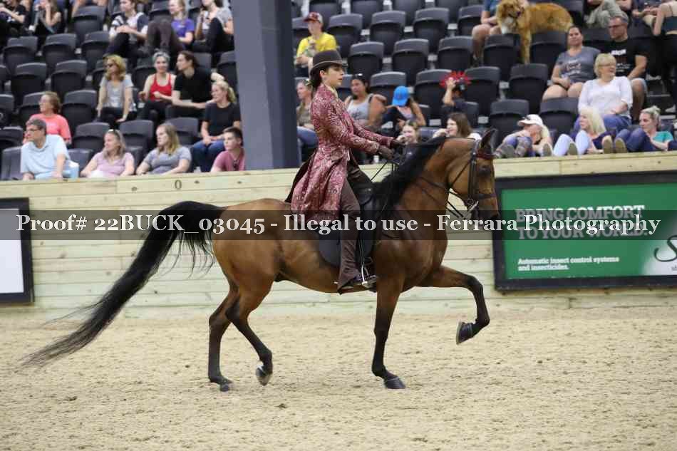 Proof 22BUCK_03045