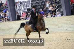 22BUCK_03046 proof