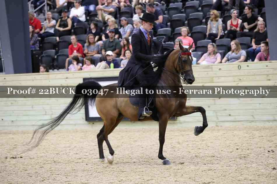 Proof 22BUCK_03047