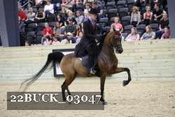 22BUCK_03047 proof