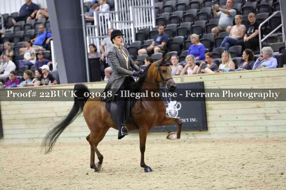 Proof 22BUCK_03048