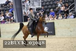 22BUCK_03048 proof