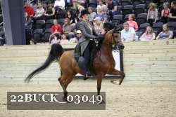 22BUCK_03049 proof