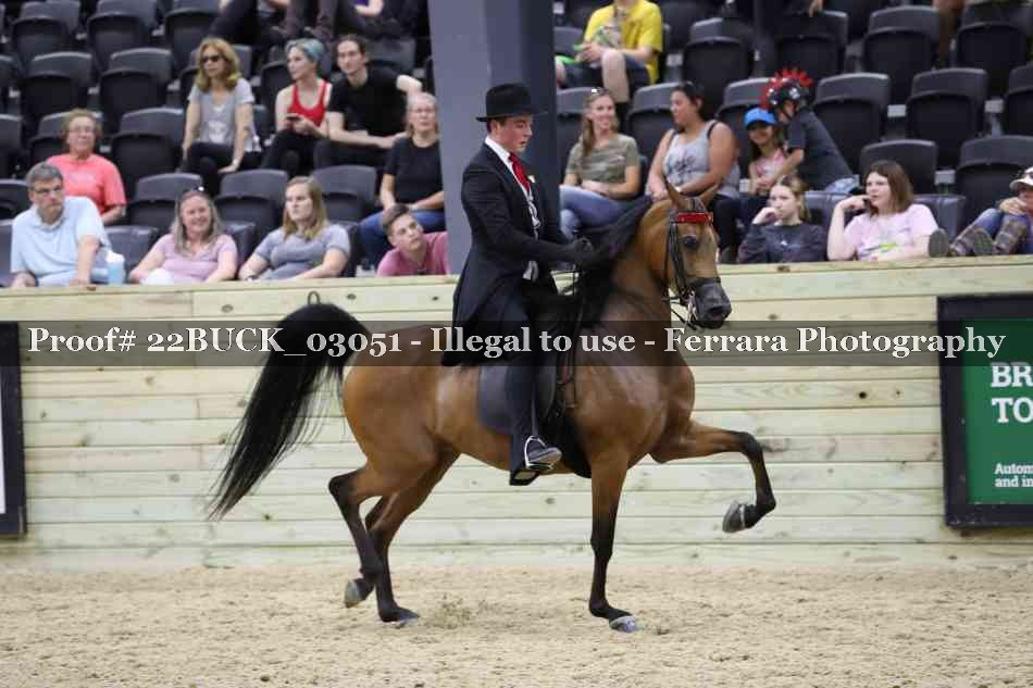 Proof 22BUCK_03051
