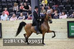 22BUCK_03051 proof