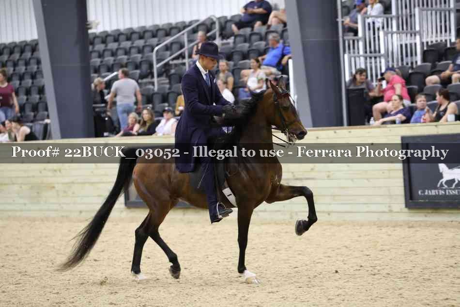 Proof 22BUCK_03052