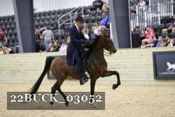 22BUCK_03052 proof