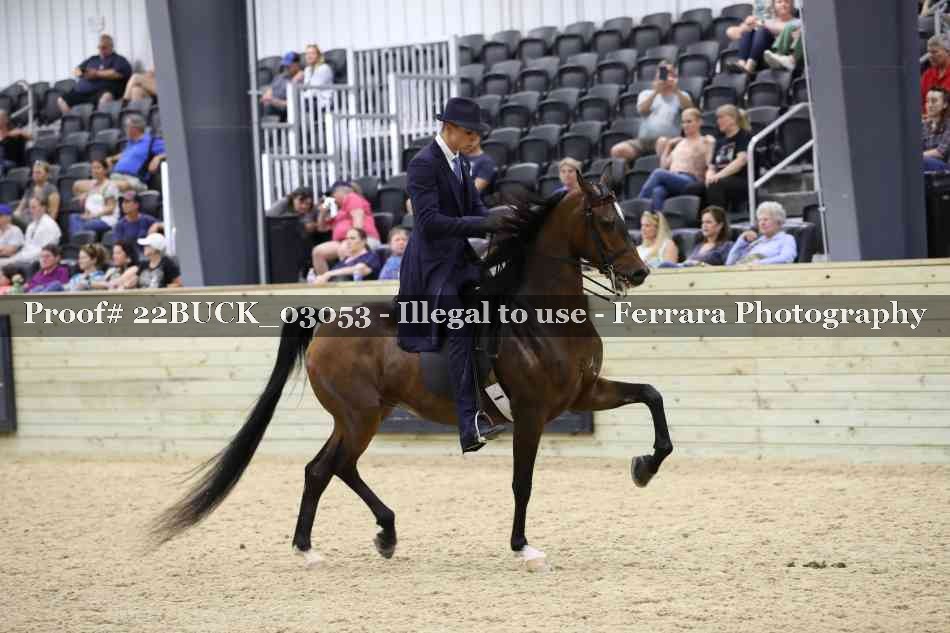 Proof 22BUCK_03053