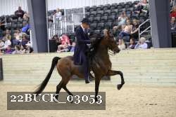 22BUCK_03053 proof