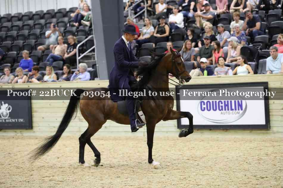 Proof 22BUCK_03054