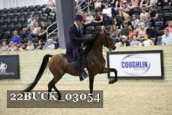 22BUCK_03054 proof