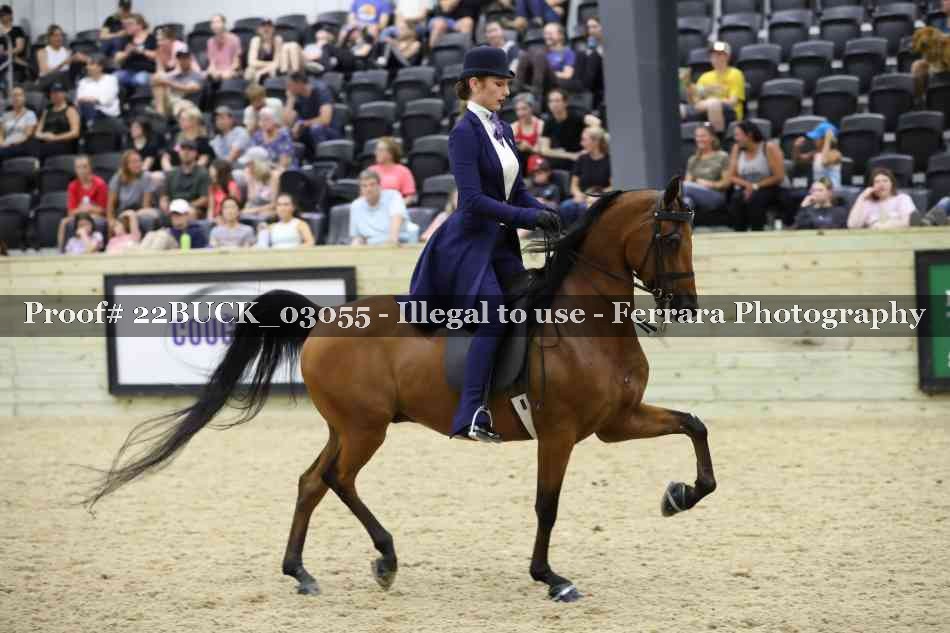 Proof 22BUCK_03055
