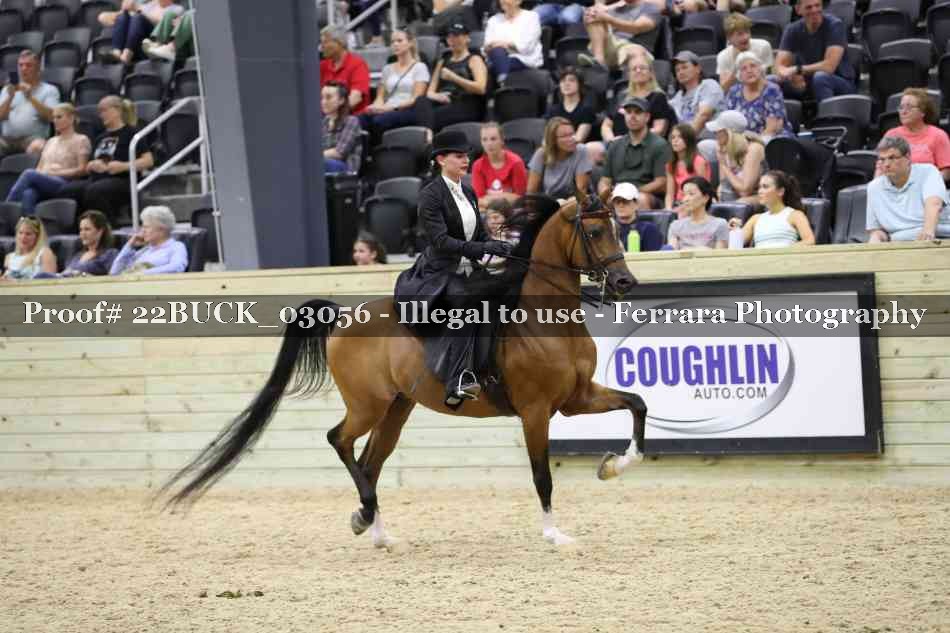 Proof 22BUCK_03056