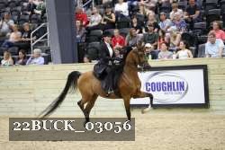 22BUCK_03056 proof