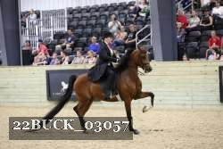 22BUCK_03057 proof