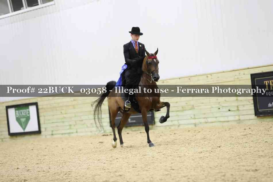 Proof 22BUCK_03058