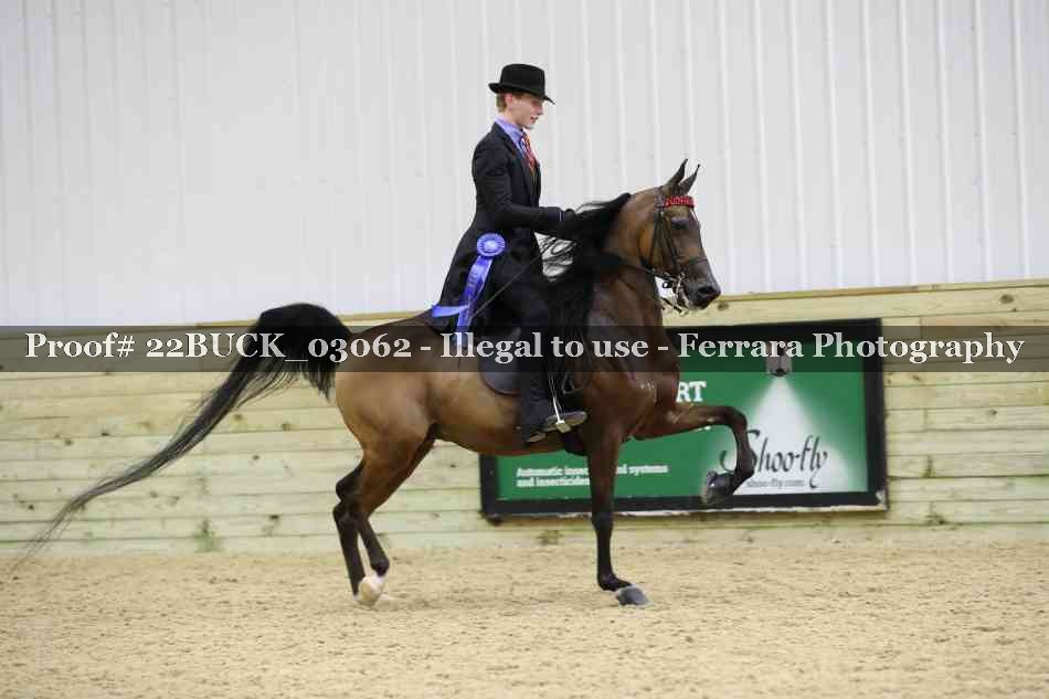 Proof 22BUCK_03062