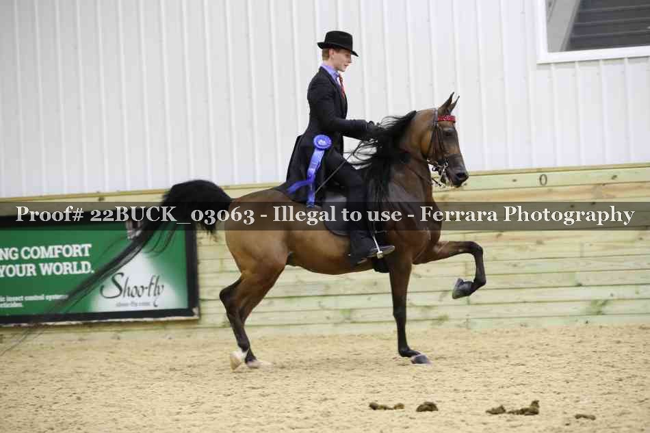 Proof 22BUCK_03063