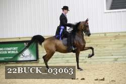 22BUCK_03063 proof