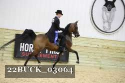 22BUCK_03064 proof