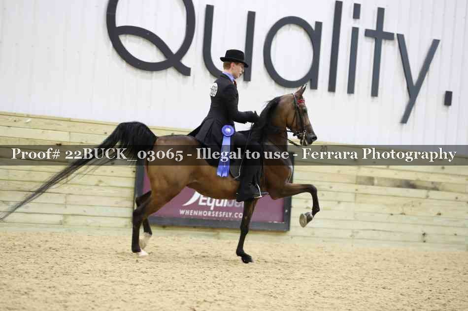 Proof 22BUCK_03065