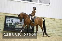 22BUCK_03066 proof