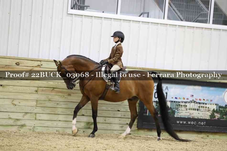 Proof 22BUCK_03068