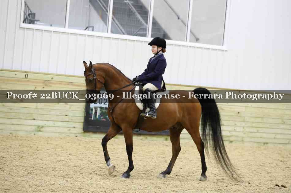 Proof 22BUCK_03069