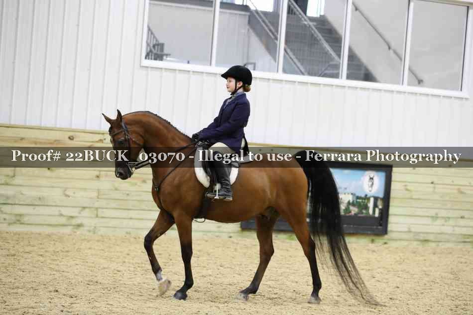 Proof 22BUCK_03070