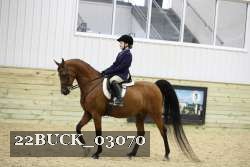 22BUCK_03070 proof