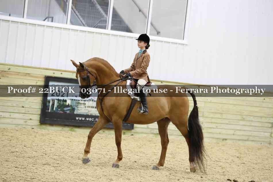 Proof 22BUCK_03071