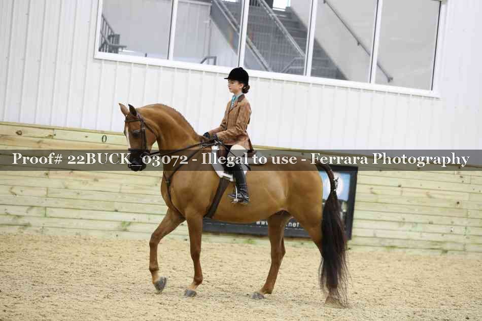 Proof 22BUCK_03072
