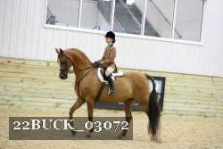 22BUCK_03072 proof