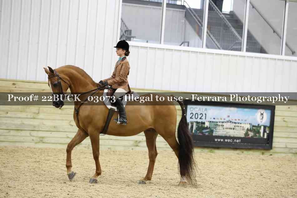 Proof 22BUCK_03073