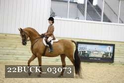 22BUCK_03073 proof
