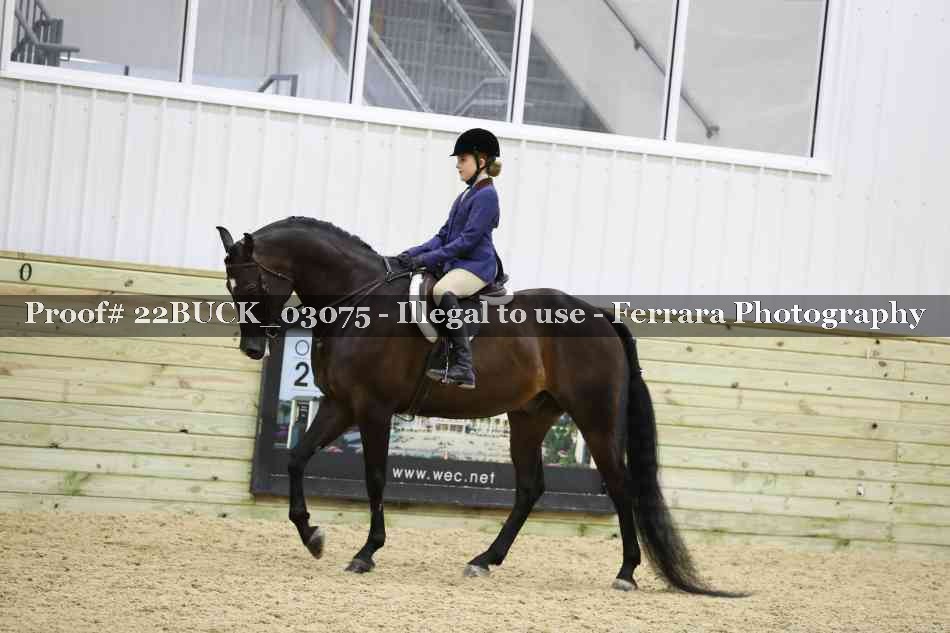Proof 22BUCK_03075