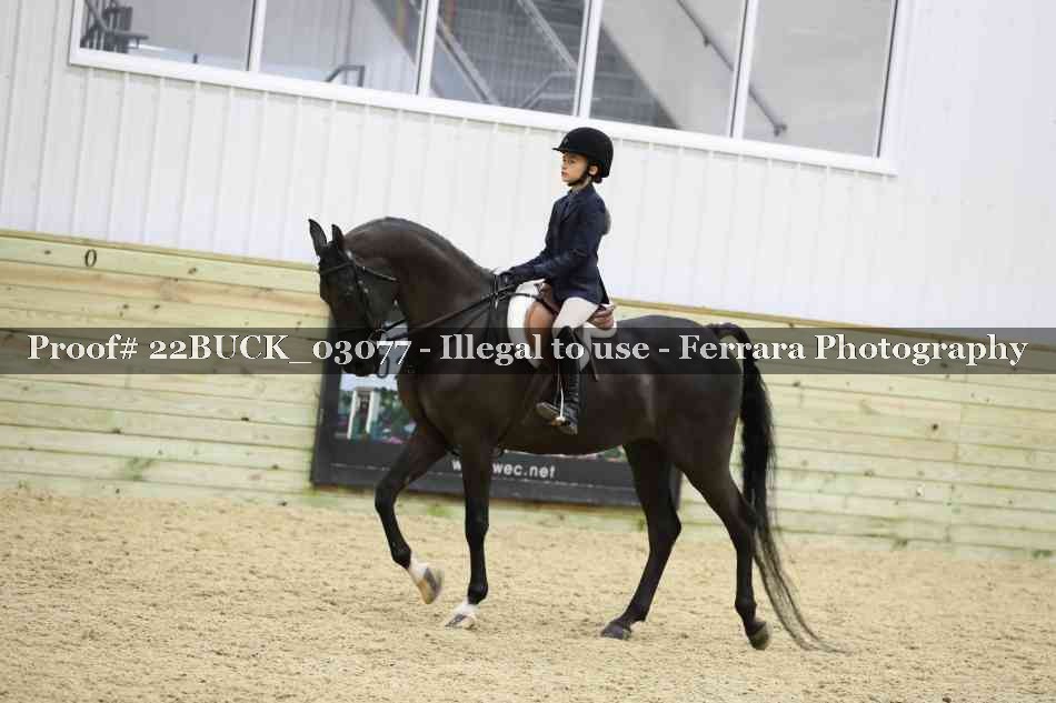 Proof 22BUCK_03077