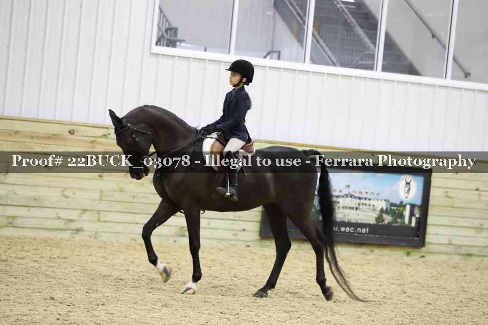 Proof 22BUCK_03078