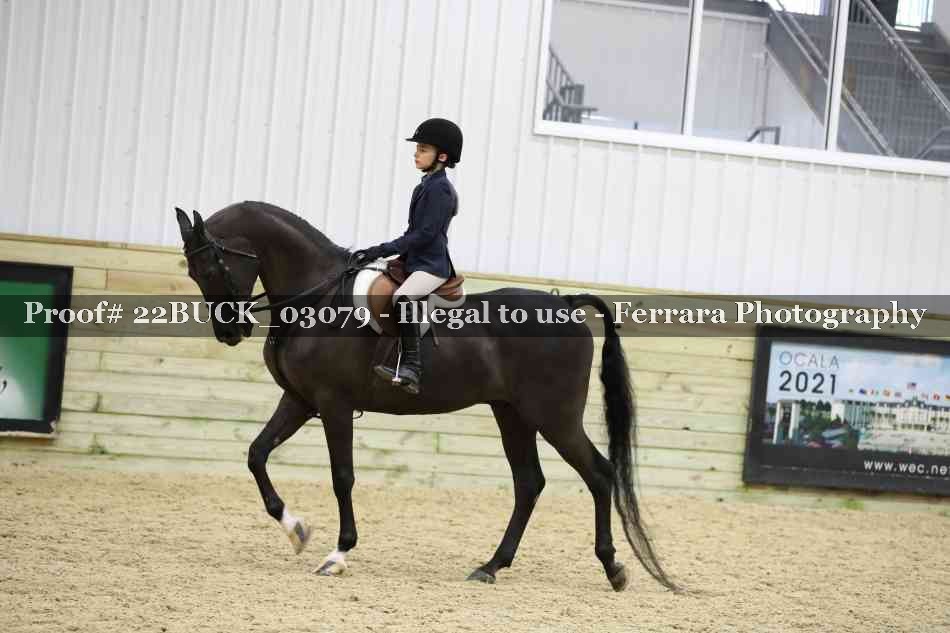 Proof 22BUCK_03079