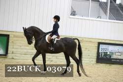 22BUCK_03079 proof