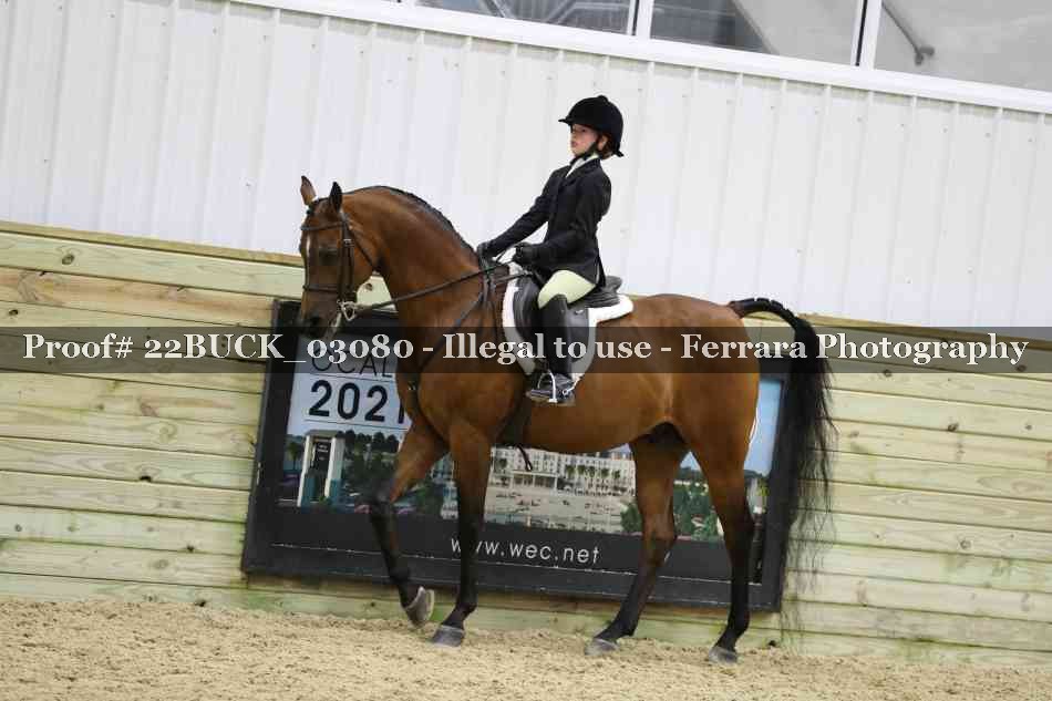 Proof 22BUCK_03080