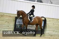 22BUCK_03080 proof