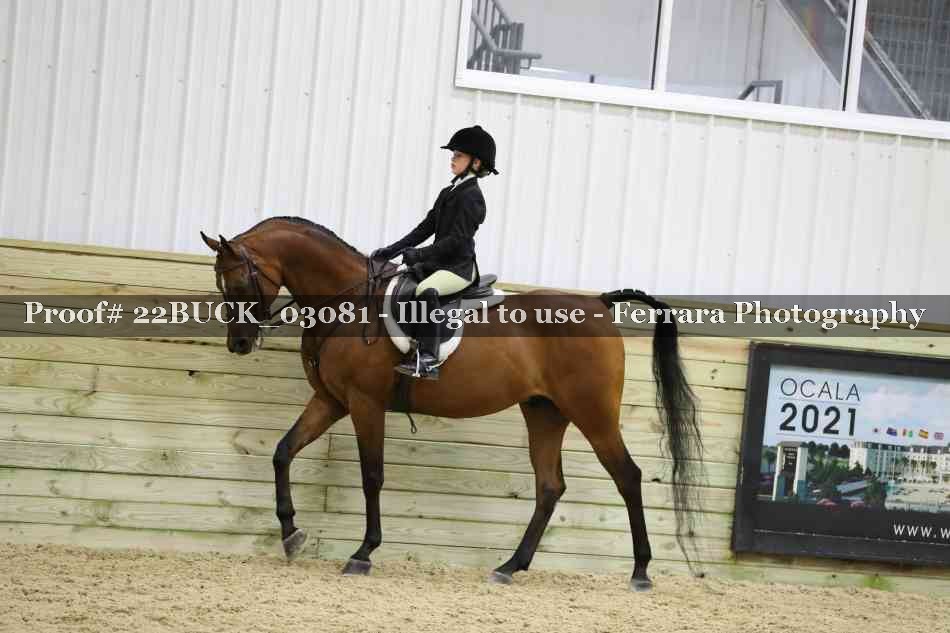 Proof 22BUCK_03081