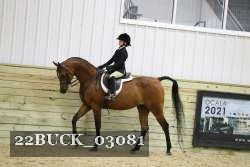 22BUCK_03081 proof