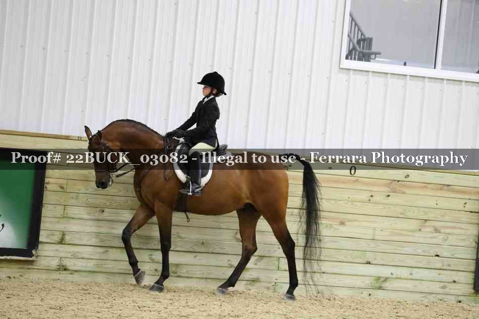 Proof 22BUCK_03082