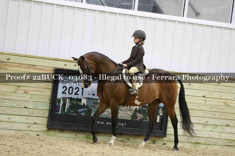 Proof 22BUCK_03083