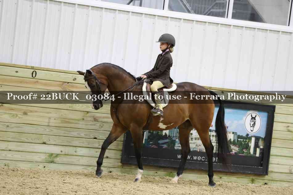 Proof 22BUCK_03084